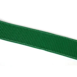 Lampa Spanbanden<Auto transport spanband 250 cm - 5000 kg