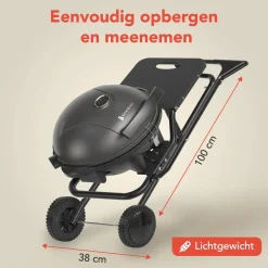 Kitchenbrothers Barbecues & Kooktoestellen>Elektrische BBQ – 2400W – Zwart