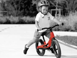 Brn Fietsen & Rijden><noscript><img width=