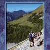 Cicerone Wandelgidsen|Reisgidsen>Gids Walking in Slovenia - The Karavanke