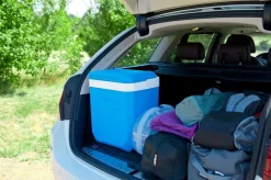 Campingaz Koelboxen|Koelkasten>Icetime Plus Koelbox - 30 Liter - Blauw
