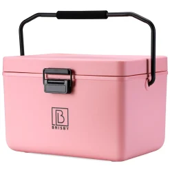 Brisby Koelboxen|Koelkasten>Koelbox - 12L - Draaghendel