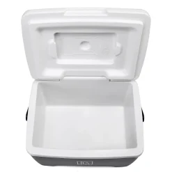 Brisby Koelboxen|Koelkasten<Koelbox - Lunchbox - 8L Zwart