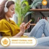Drivv. Audio|Stekkers & Kabels<Lightning naar AUX Kabel - 1 Meter