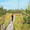 Falk Wandelkaarten|Wandelkaarten<Regiokaart Dwingelderveld