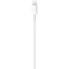 Apple Stekkers & Kabels>USB-C naar Lightning kabel - 1 meter