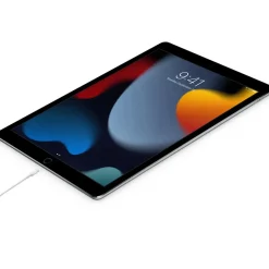 Apple Stekkers & Kabels>USB-C naar Lightning kabel - 1 meter
