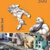 Michelin Wegenkaarten & Atlassen|Wegenkaarten<wegenkaart Regional 564 Italië – zuid